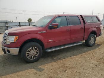  Salvage Ford F-150