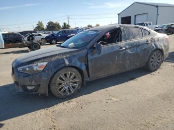  Salvage Kia Cadenza