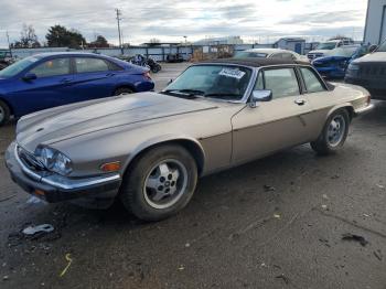  Salvage Jaguar Xjs