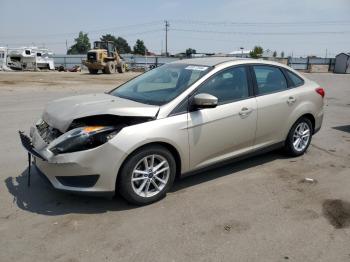  Salvage Ford Focus