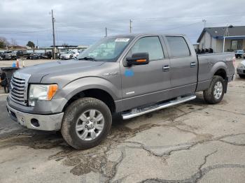  Salvage Ford F-150