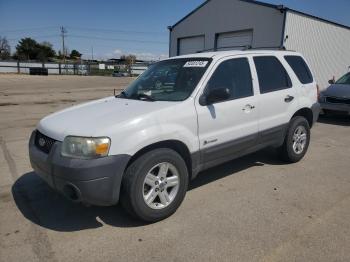  Salvage Ford Escape