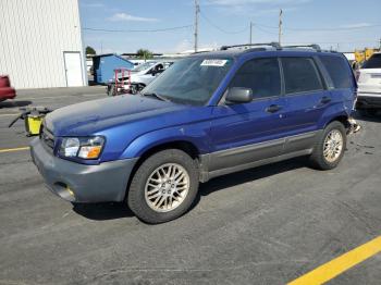  Salvage Subaru Forester