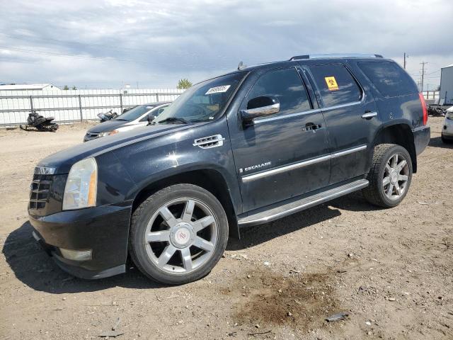  Salvage Cadillac Escalade