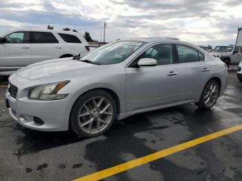  Salvage Nissan Maxima