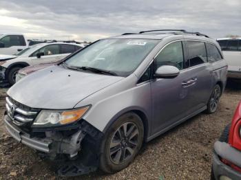  Salvage Honda Odyssey