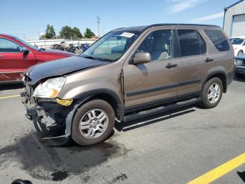  Salvage Honda Crv