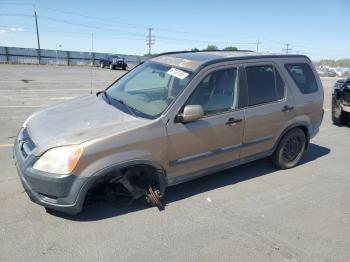  Salvage Honda Crv