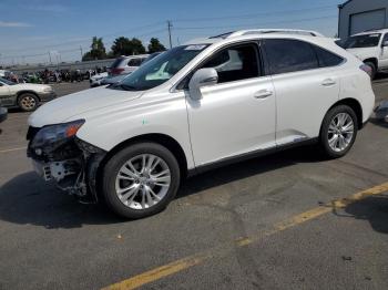  Salvage Lexus RX