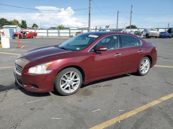  Salvage Nissan Maxima