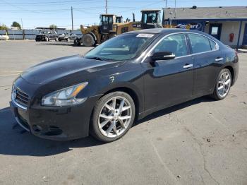  Salvage Nissan Maxima