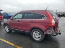 Honda Crv Exl Image 3