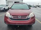 Honda Crv Exl Image 2
