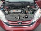 Honda Crv Exl Image 5