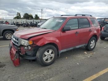  Salvage Ford Escape