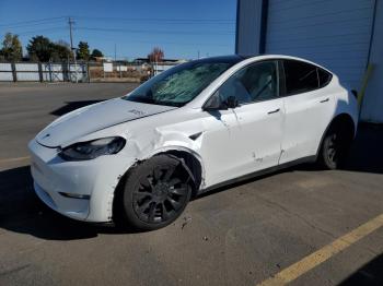  Salvage Tesla Model Y