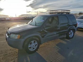  Salvage Ford Escape