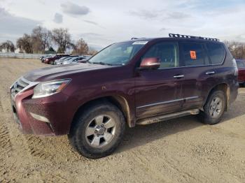  Salvage Lexus Gx
