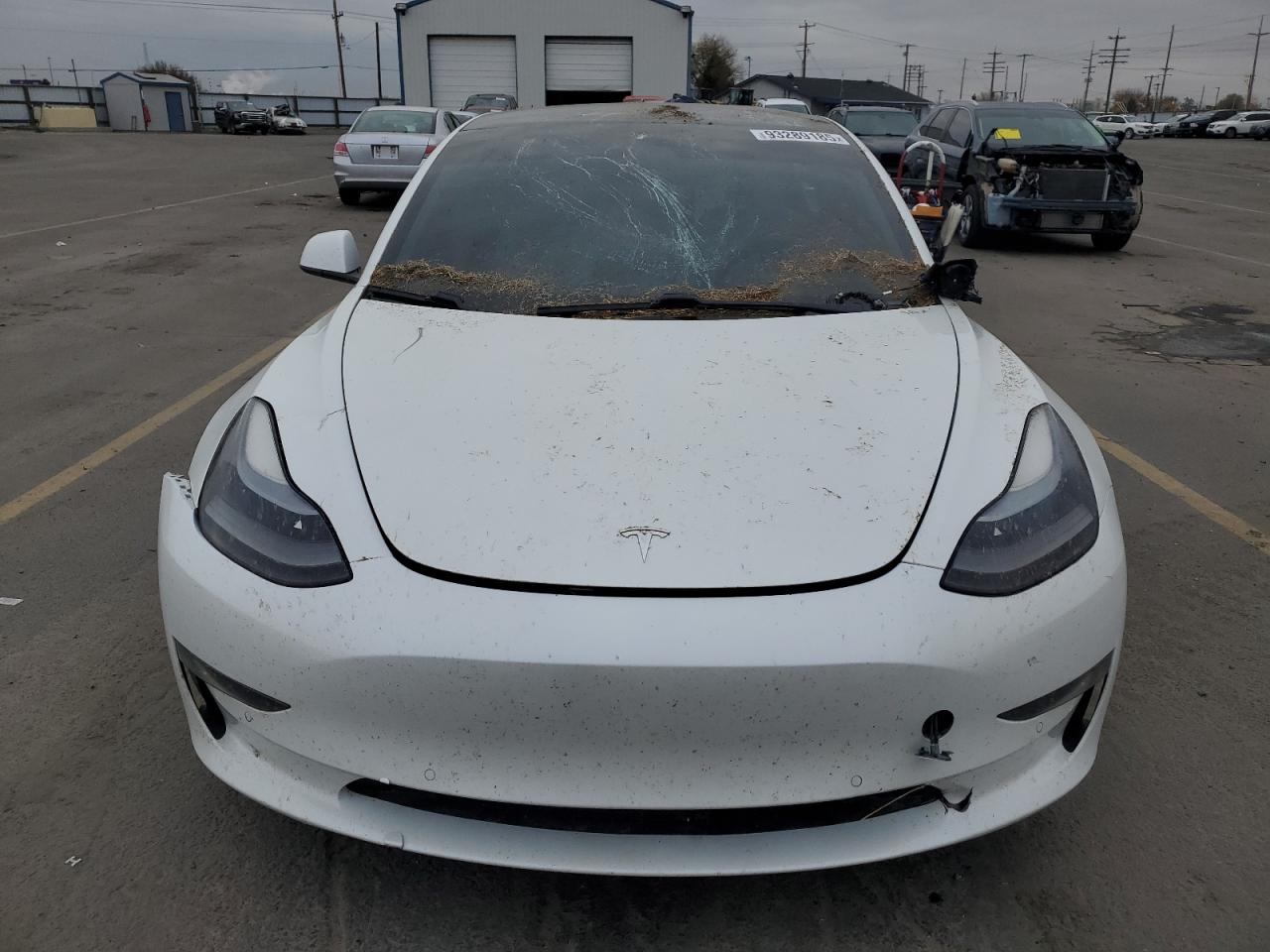 Tesla Model 3 Image 12