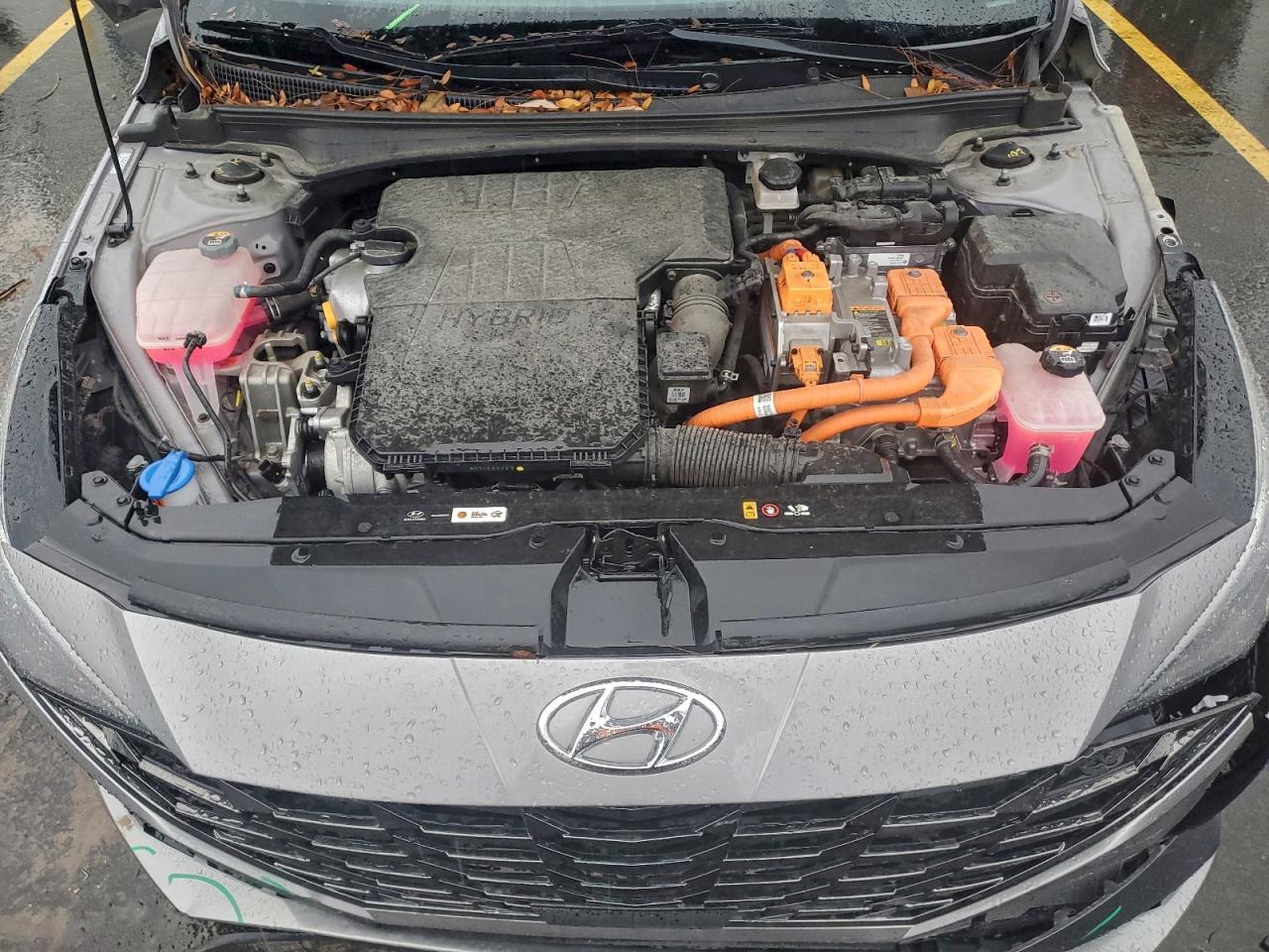 Hyundai ELANTRA Limited Image 8