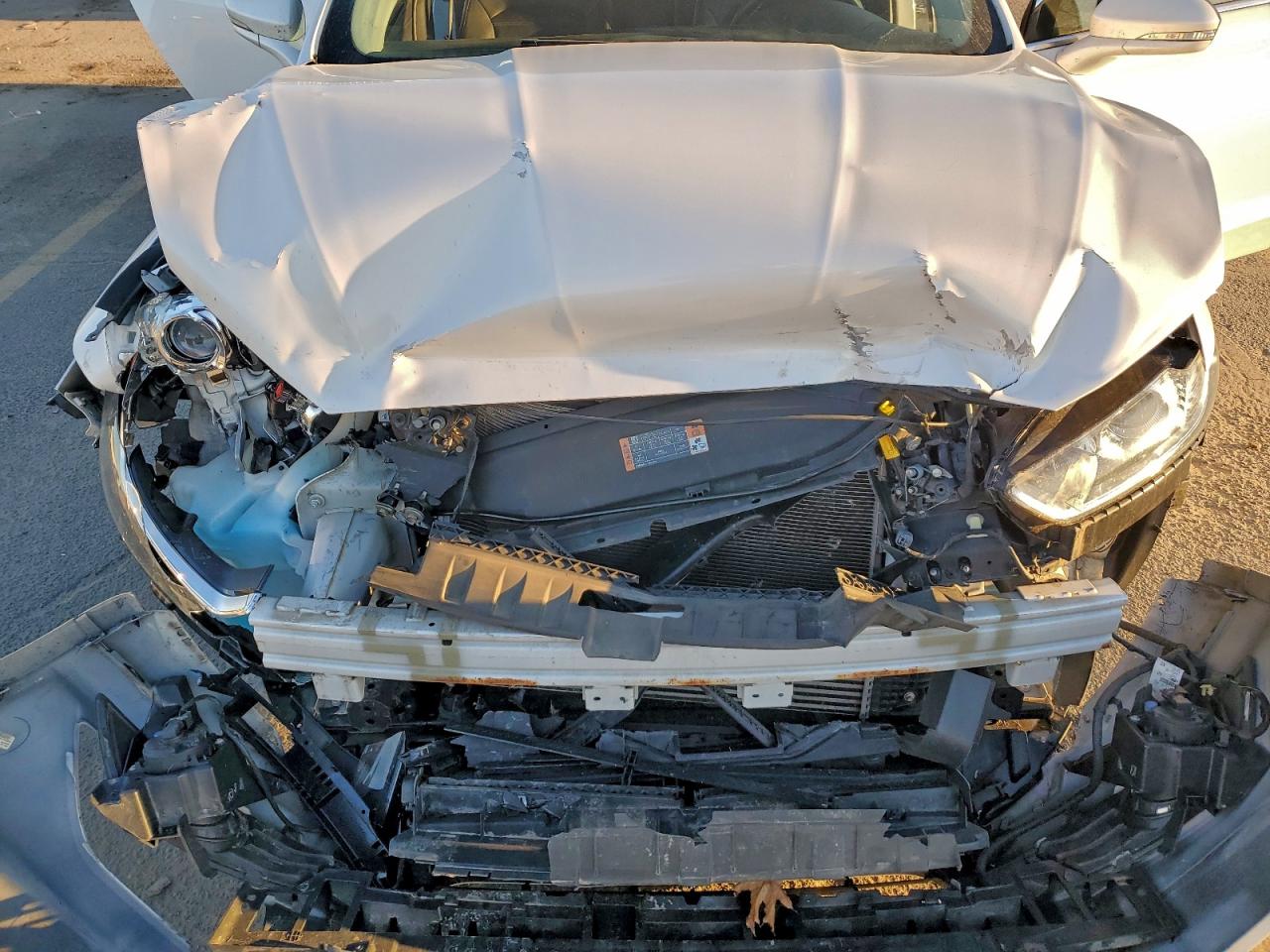 Ford Fusion Se Image 11