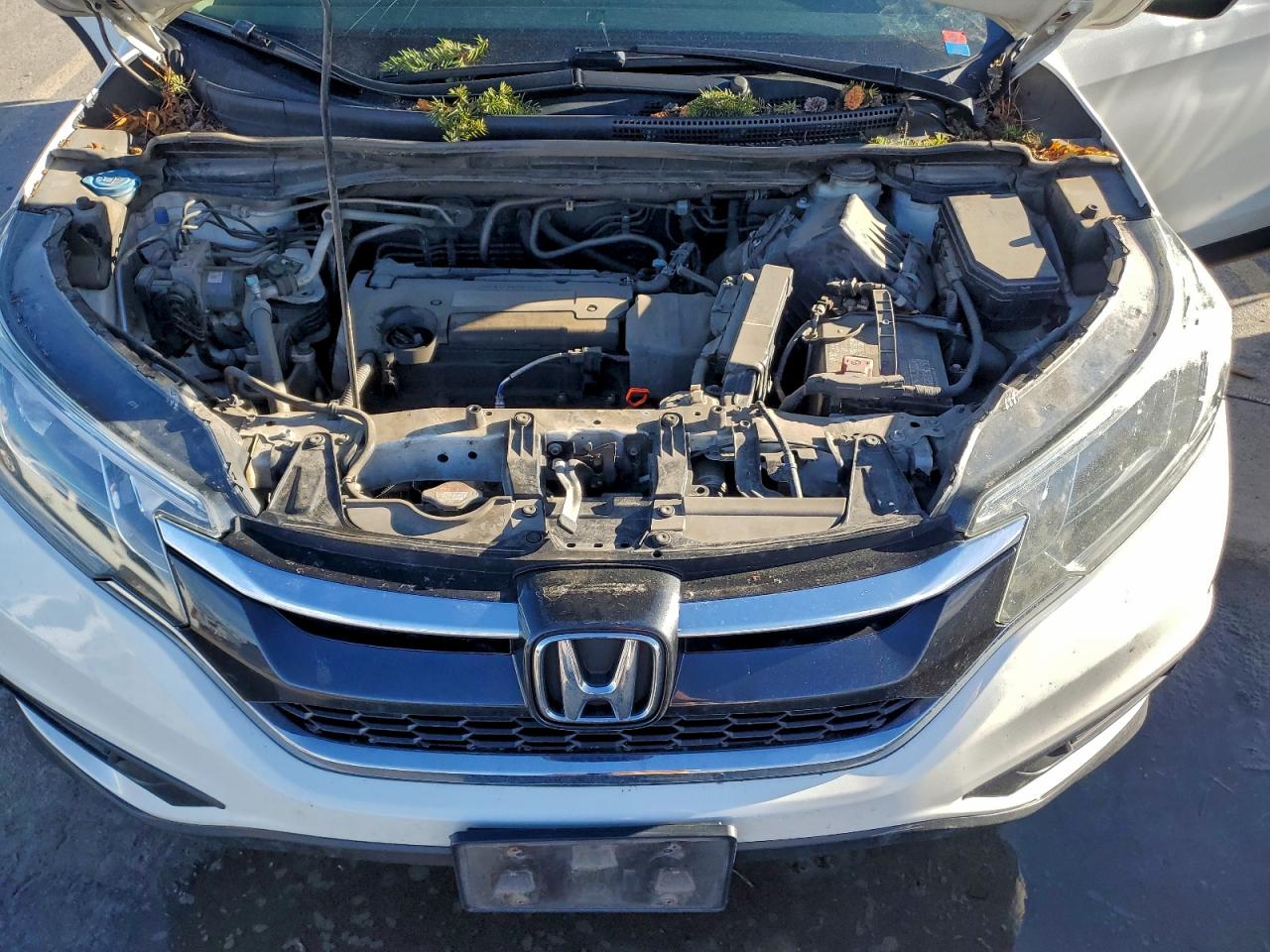 Honda Crv Lx Image 13