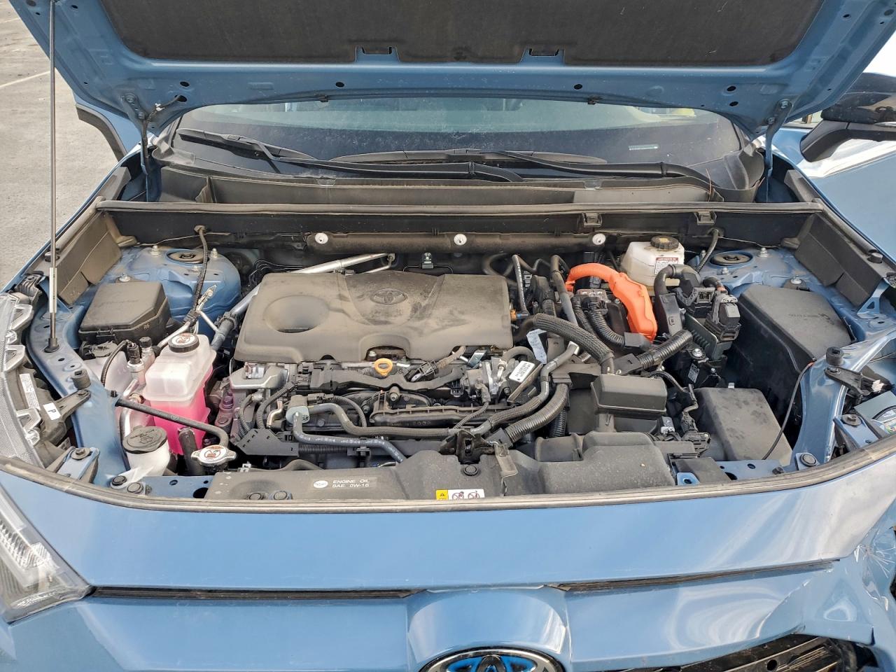 Toyota RAV4 Xse Image 9