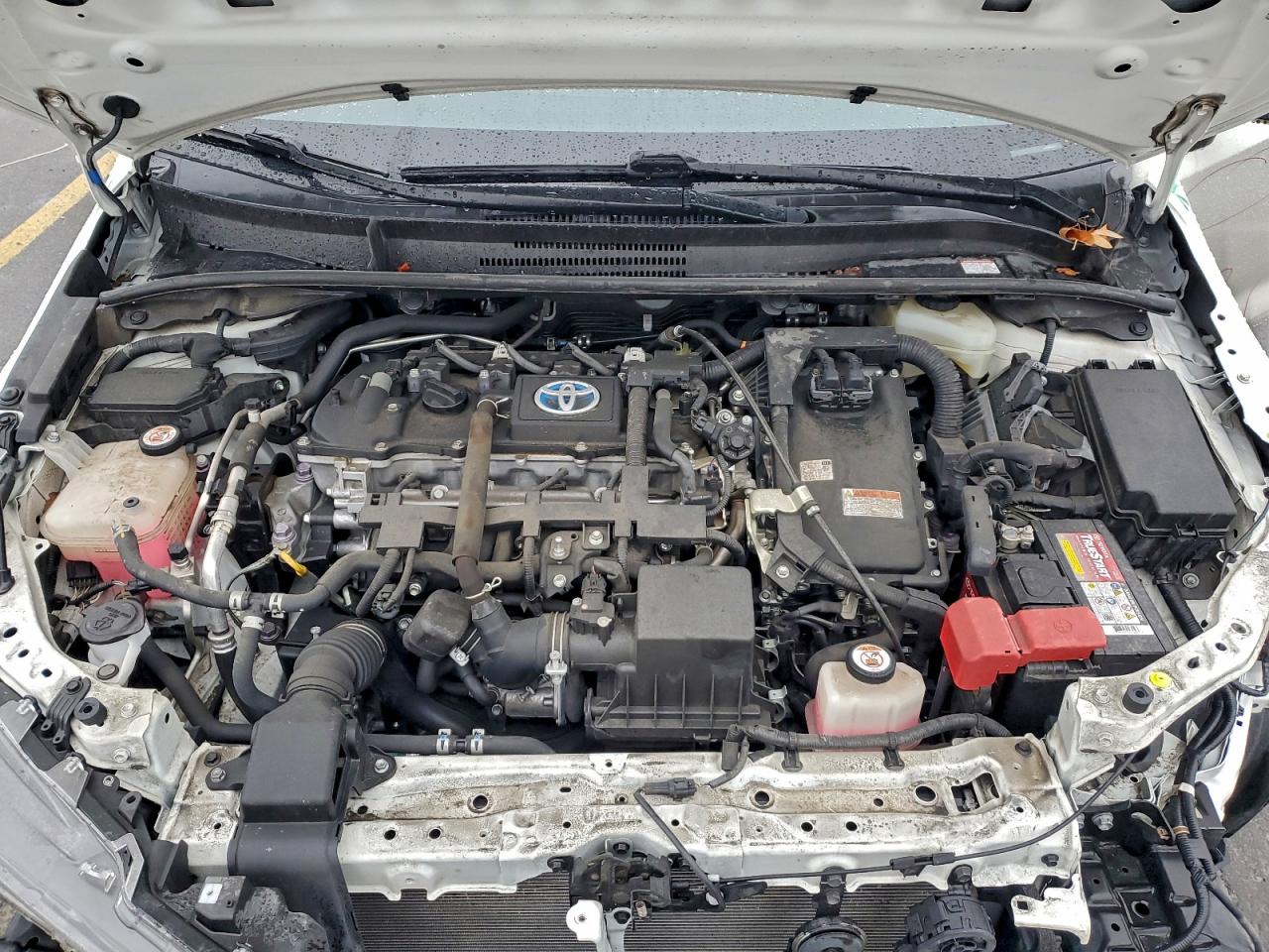 Toyota Corolla Le Image 10