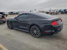 Ford Mustang Image 2